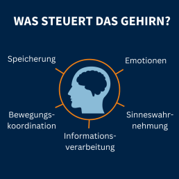 Wettag des Gehirns: Slide 3