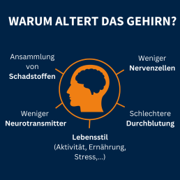 Wettag des Gehirns: Slide 5
