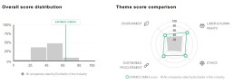 score details 2025 ecovadis