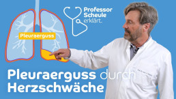 Medizinische Inhalte verst&auml;ndlich erkl&auml;rt