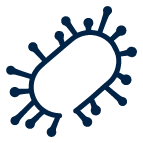 ewimed report 2025 - bacterium
